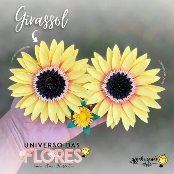 Girassol