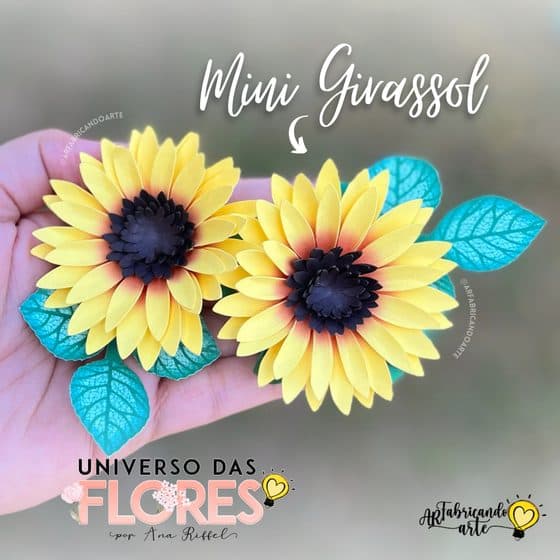 Girassol pequeno